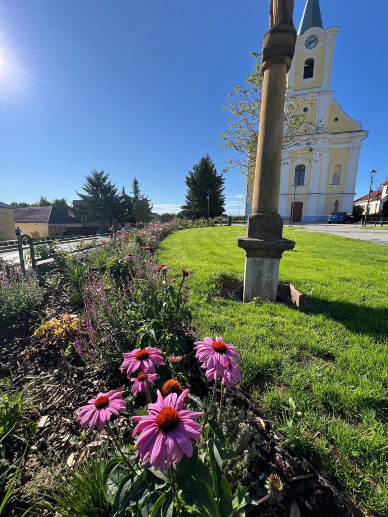 Naše služby - Unigarden, reazlizácie záhrad na kľúč, verejné priestranstvá